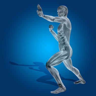 kavramsal stong insan