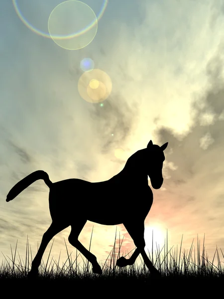 Svart häst siluett — Stockfoto