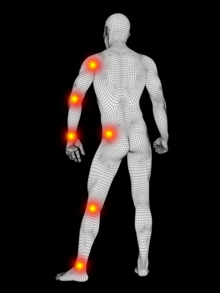 Kavramsal 3d insan anatomisi — Stok fotoğraf