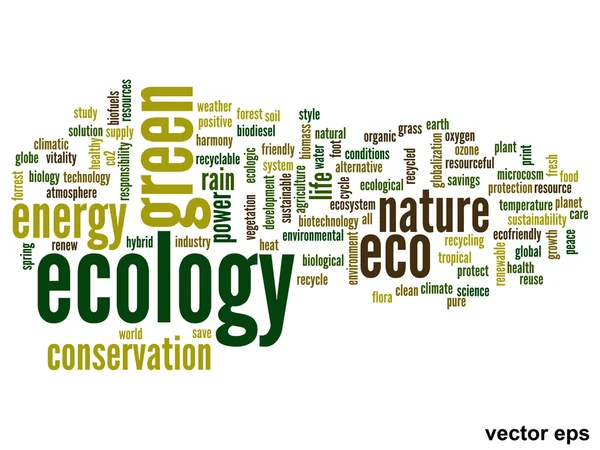 Ecologische woordwolk — Stockvector