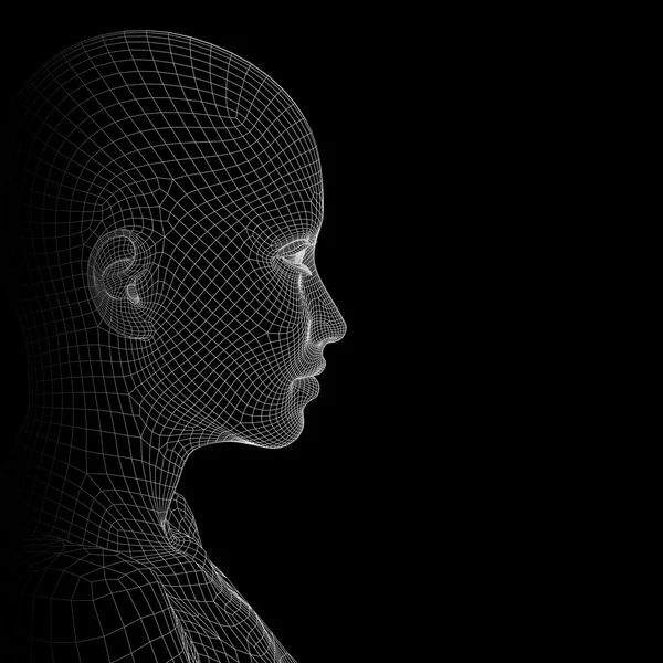 Εννοιολογική 3d wireframe ανθρώπινη — Φωτογραφία Αρχείου