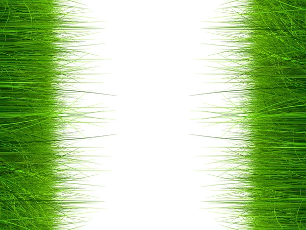 Frisches und natürliches Gras — Stockfoto