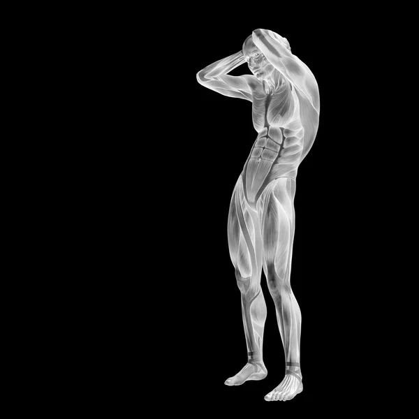 Homme 3D avec des muscles — Photo
