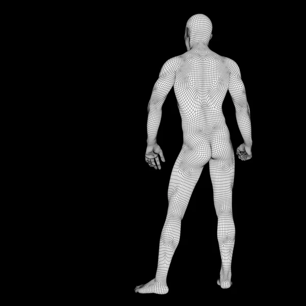 Humano feito de wireframe branco — Fotografia de Stock