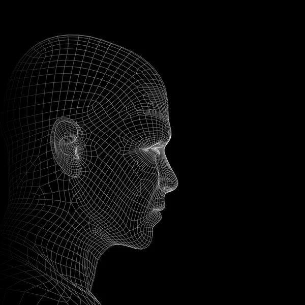 Εννοιολογική 3d wireframe ανθρώπινη — Φωτογραφία Αρχείου