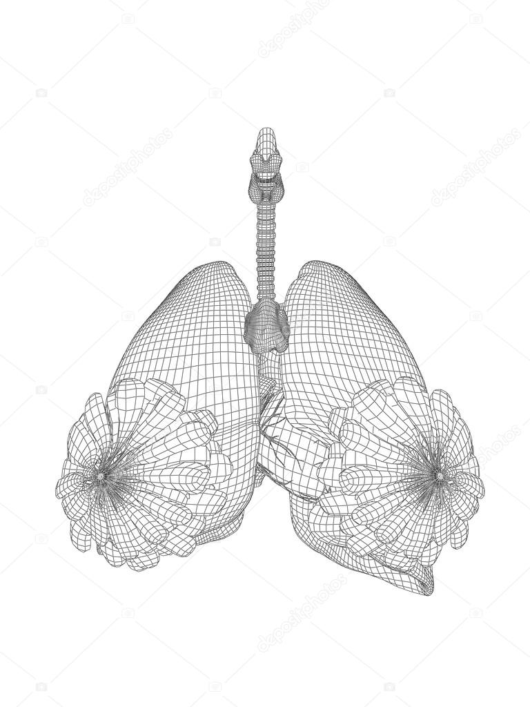Wireframe mesh respiratory system
