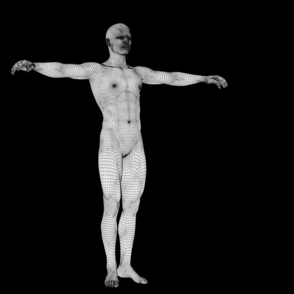 Masculino feito de wireframe branco — Fotografia de Stock