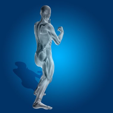 kavramsal stong insan