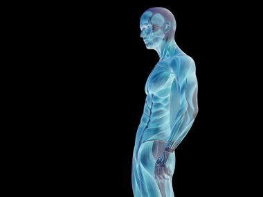 kavramsal stong insan