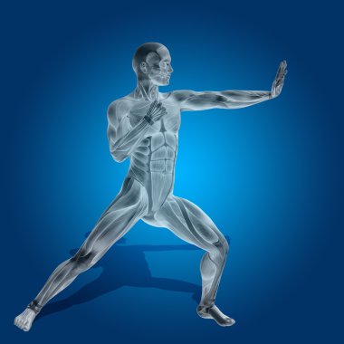 kavramsal stong insan