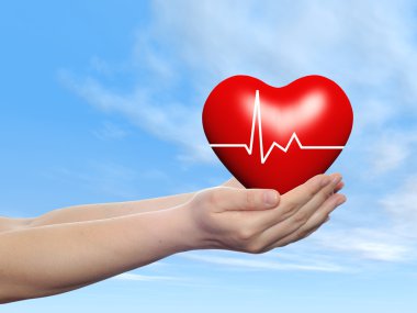 ellerinde düzenlenen kalp işareti