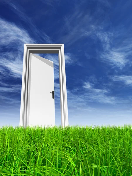 Opened door at horizon — Stock Photo, Image