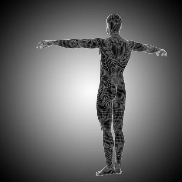 Conceptual 3d wireframe male — Stock Photo, Image