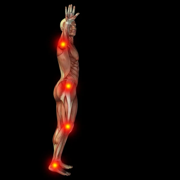 Humano 3D con músculos — Foto de Stock