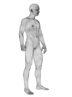 İnsan anatomisi tel kafes yaptı