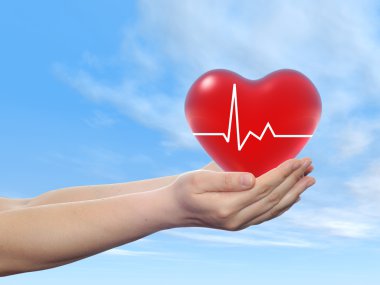 İnsan elinde düzenlenen kalp