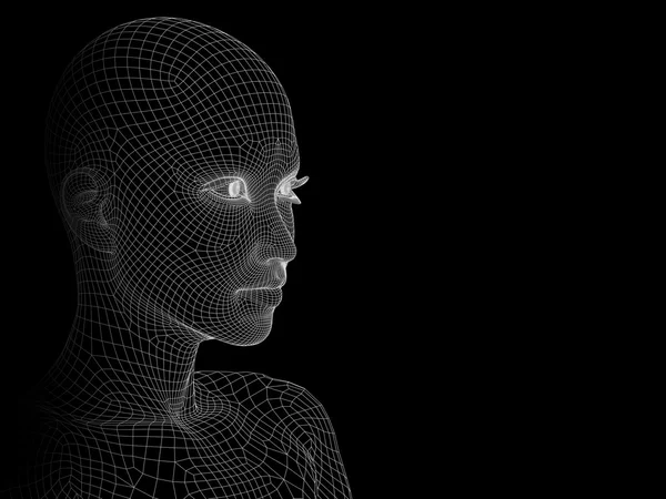 Tel, kavramsal çerçeve insan