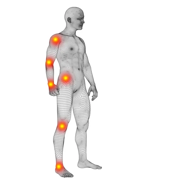 Anatomia umana concettuale — Foto Stock