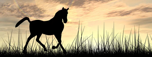 Μαύρο άλογο σιλουέτα — Φωτογραφία Αρχείου
