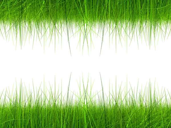 Natural grass field — Stock Photo, Image