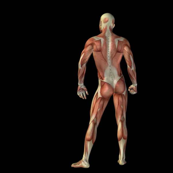 Człowiek na anatomii wzory — Zdjęcie stockowe