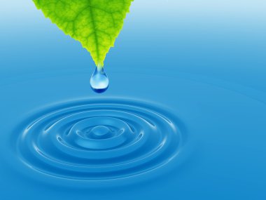 üzerinde mavi bir temiz su yaprak