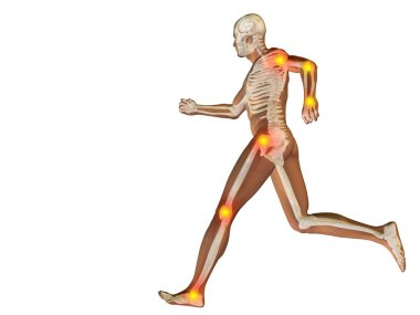 kavramsal insan anatomisi