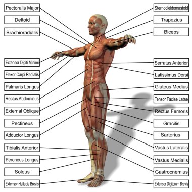 adam kasları ve metin