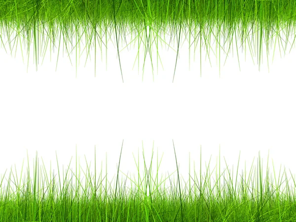 Campo in erba naturale — Foto Stock
