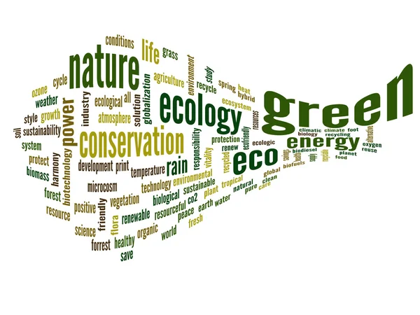 Ecologie en instandhouding word cloud — Stockfoto