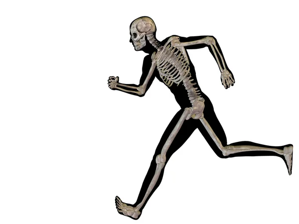 Anatomia człowieka pojęciowy — Zdjęcie stockowe