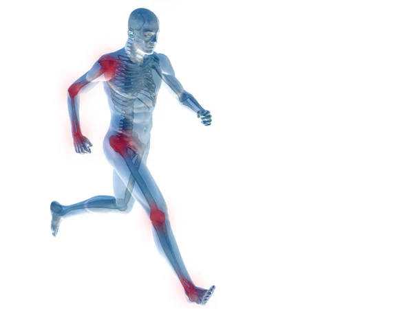 kavramsal adam anatomisi