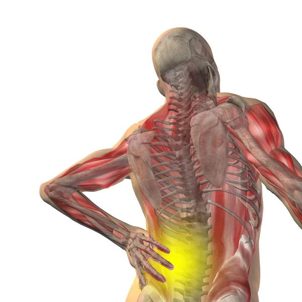 Man anatomy with back pain — Stock Photo, Image