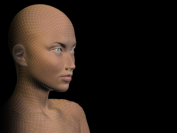 Conceptual  wireframe human