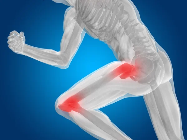 adam anatomisi veya sağlık tasarım