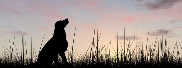 Carino cane silhouette — Foto Stock