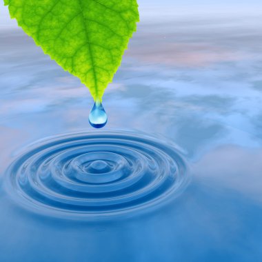 damla yaprak düşüyor