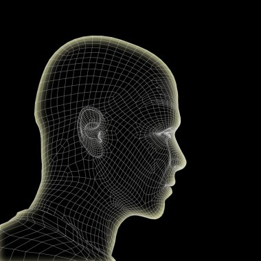 Tel, kavramsal çerçeve insan