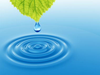 taze yaprak yeşil düşen bırak