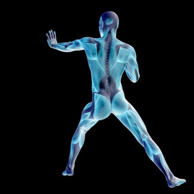 İnsan anatomisi tasarımları için.