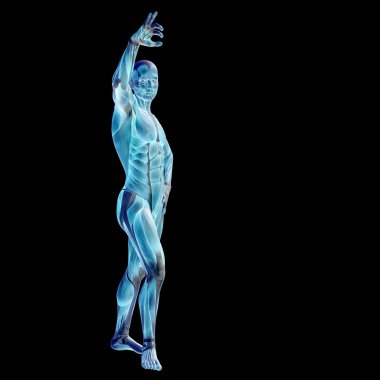 adam anatomisi tasarımları için.