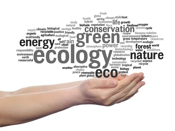 Ecologie, instandhouding word cloud — Stockfoto