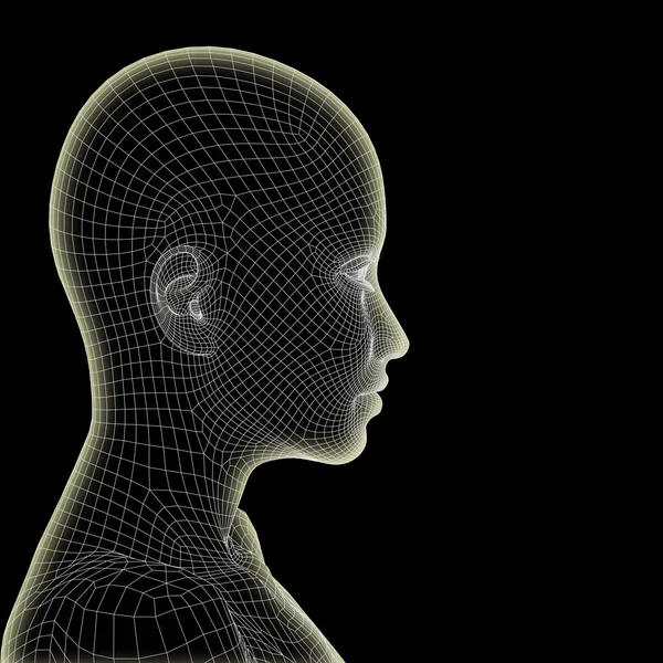 Tel, kavramsal çerçeve insan