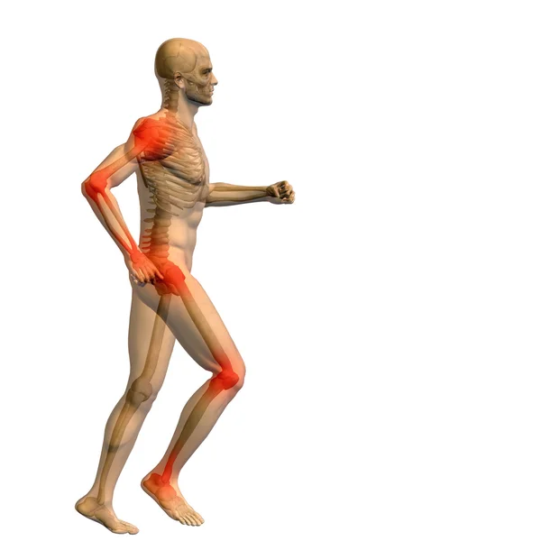 Conceptual man anatomy — Stock Photo, Image