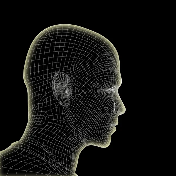 Tel, kavramsal çerçeve insan