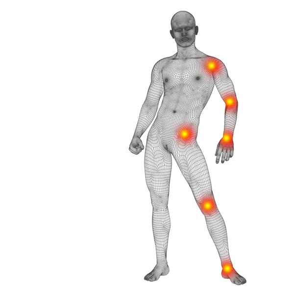 Kavramsal insan anatomisi — Stok fotoğraf