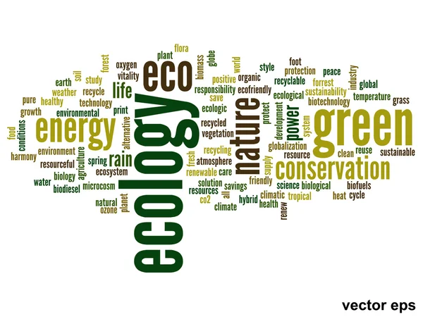 Ecologische woordwolk — Stockvector