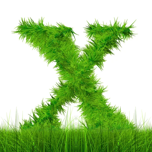 Green grass font — Stock Photo, Image