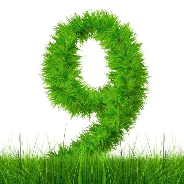 Green grass font — Stock Photo, Image