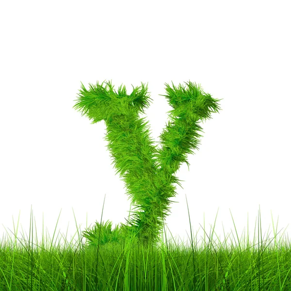 Green grass font — Stock Photo, Image